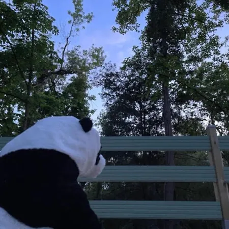 La Cabane Du Panda Abrest Buitenkant foto