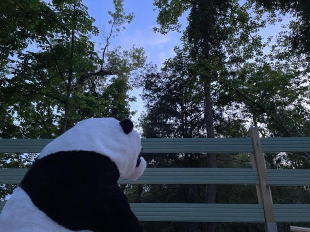 La Du Panda Holiday home